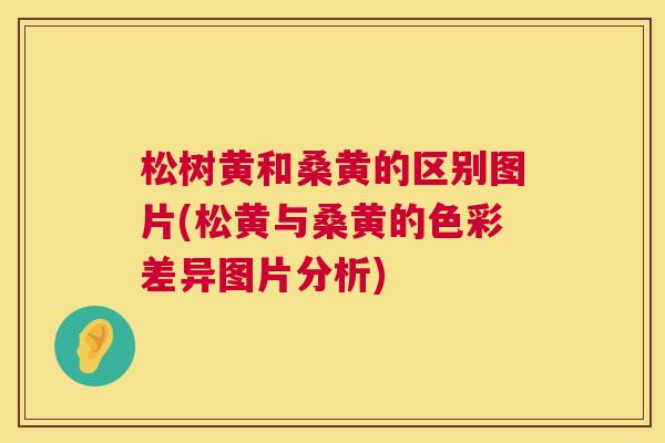 松树黄和桑黄的区别图片(松黄与桑黄的色彩差异图片分析) 松树黄和桑黄的区别图片(松黄与桑黄的色彩差异图片分析)