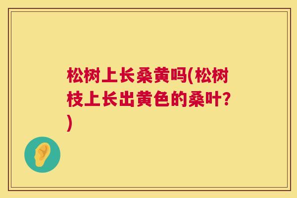 松树上长桑黄吗(松树枝上长出黄色的桑叶?) 松树上长桑黄吗(松树枝上长出黄色的桑叶?)