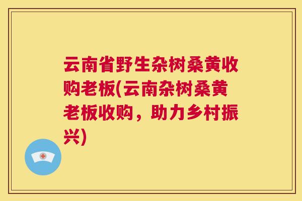 云南省野生杂树桑黄收购老板(云南杂树桑黄老板收购,助力乡村振兴) 云南省野生杂树桑黄收购老板(云南杂树桑黄老板收购,助力乡村振兴)