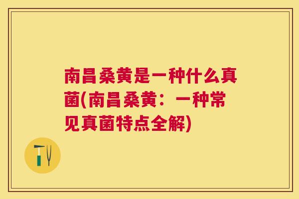 南昌桑黄是一种什么真菌(南昌桑黄:一种常见真菌特点全解) 南昌桑黄是一种什么真菌(南昌桑黄:一种常见真菌特点全解)