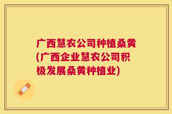 广西慧农公司种植桑黄(广西企业慧农公司积极发展桑黄种植业) 广西慧农公司种植桑黄(广西企业慧农公司积极发展桑黄种植业)