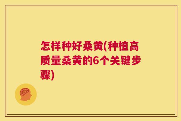 怎样种好桑黄(种植高质量桑黄的6个关键步骤) 怎样种好桑黄(种植高质量桑黄的6个关键步骤)
