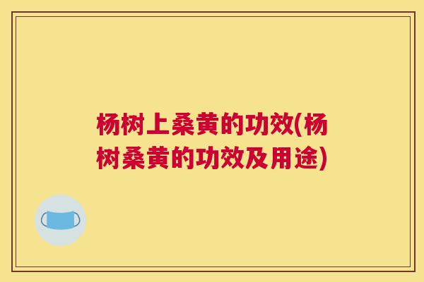 杨树上桑黄的功效(杨树桑黄的功效及用途) 杨树上桑黄的功效(杨树桑黄的功效及用途)