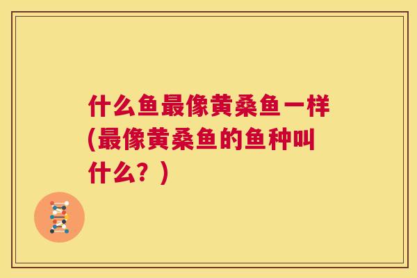 什么鱼像黄桑鱼一样(像黄桑鱼的鱼种叫什么?) 什么鱼像黄桑鱼一样(像黄桑鱼的鱼种叫什么?)