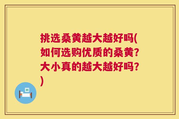挑选桑黄越大越好吗(如何选购优质的桑黄?大小真的越大越好吗?) 挑选桑黄越大越好吗(如何选购优质的桑黄?大小真的越大越好吗?)