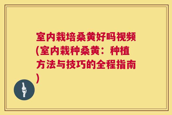 室内栽培桑黄好吗视频(室内栽种桑黄:种植方法与技巧的全程指南) 室内栽培桑黄好吗视频(室内栽种桑黄:种植方法与技巧的全程指南)