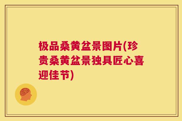 极品桑黄盆景图片(珍贵桑黄盆景独具匠心喜迎佳节) 极品桑黄盆景图片(珍贵桑黄盆景独具匠心喜迎佳节)