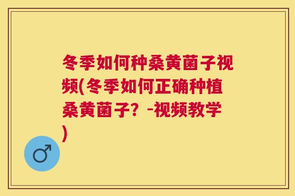 冬季如何种桑黄菌子视频(冬季如何正确种植桑黄菌子?-视频教学) 冬季如何种桑黄菌子视频(冬季如何正确种植桑黄菌子?-视频教学)