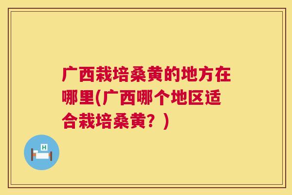 广西栽培桑黄的地方在哪里(广西哪个地区适合栽培桑黄?) 广西栽培桑黄的地方在哪里(广西哪个地区适合栽培桑黄?)