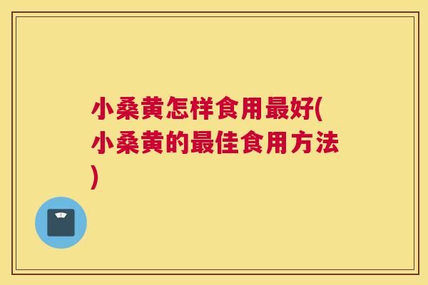 小桑黄怎样食用好(小桑黄的佳食用方法) 小桑黄怎样食用好(小桑黄的佳食用方法)