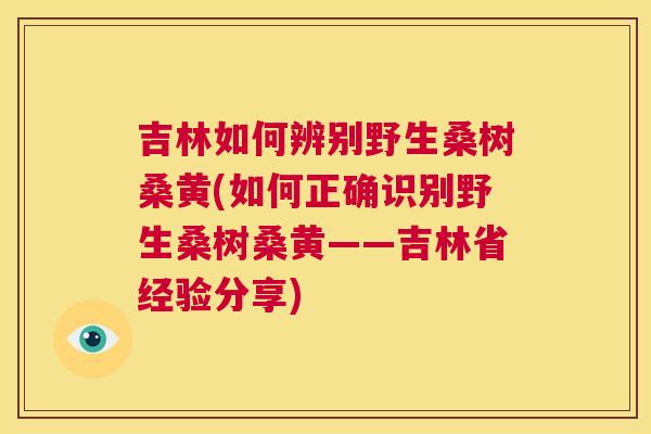 吉林如何辨别野生桑树桑黄(如何正确识别野生桑树桑黄——吉林省经验分享) 吉林如何辨别野生桑树桑黄(如何正确识别野生桑树桑黄——吉林省经验分享)