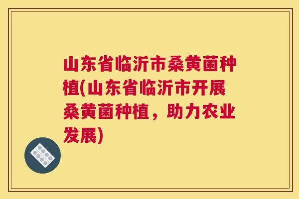 山东省临沂市桑黄菌种植(山东省临沂市开展桑黄菌种植,助力农业发展) 山东省临沂市桑黄菌种植(山东省临沂市开展桑黄菌种植,助力农业发展)