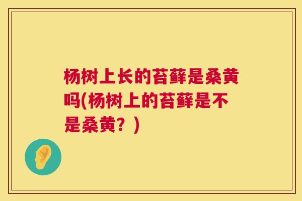 杨树上长的苔藓是桑黄吗(杨树上的苔藓是不是桑黄?) 杨树上长的苔藓是桑黄吗(杨树上的苔藓是不是桑黄?)