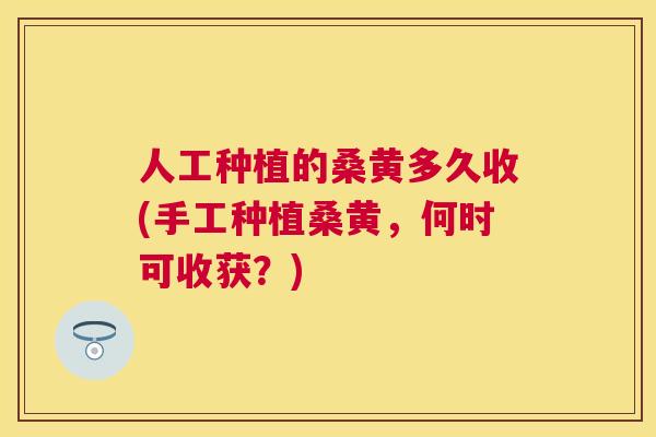 人工种植的桑黄多久收(手工种植桑黄,何时可收获?) 人工种植的桑黄多久收(手工种植桑黄,何时可收获?)