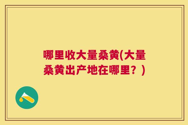 哪里收大量桑黄(大量桑黄出产地在哪里?) 哪里收大量桑黄(大量桑黄出产地在哪里?)