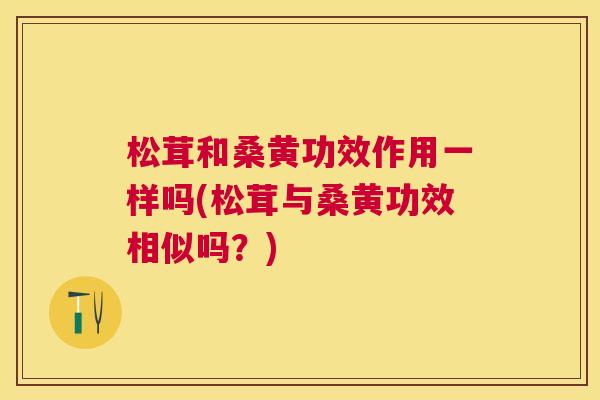 松茸和桑黄功效作用一样吗(松茸与桑黄功效相似吗?) 松茸和桑黄功效作用一样吗(松茸与桑黄功效相似吗?)
