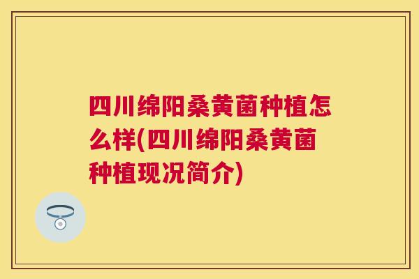 四川绵阳桑黄菌种植怎么样(四川绵阳桑黄菌种植现况简介) 四川绵阳桑黄菌种植怎么样(四川绵阳桑黄菌种植现况简介)