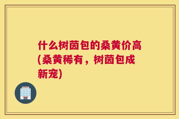 什么树茵包的桑黄价高(桑黄稀有,树茵包成新宠) 什么树茵包的桑黄价高(桑黄稀有,树茵包成新宠)