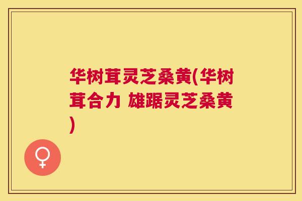华树茸灵芝桑黄(华树茸合力 雄踞灵芝桑黄) 华树茸灵芝桑黄(华树茸合力 雄踞灵芝桑黄)