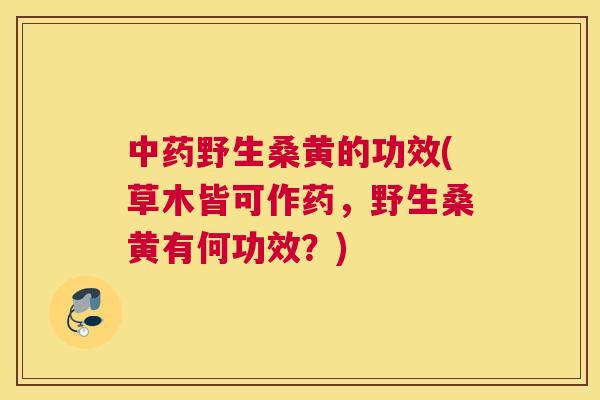 野生桑黄的功效(草木皆可作药,野生桑黄有何功效?) 野生桑黄的功效(草木皆可作药,野生桑黄有何功效?)