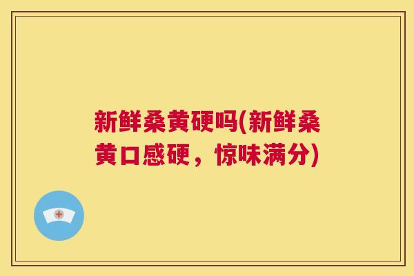新鲜桑黄硬吗(新鲜桑黄口感硬,惊味满分) 新鲜桑黄硬吗(新鲜桑黄口感硬,惊味满分)