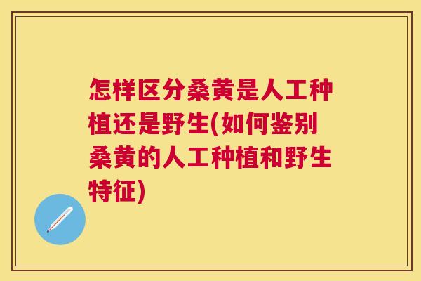 怎样区分桑黄是人工种植还是野生(如何鉴别桑黄的人工种植和野生特征) 怎样区分桑黄是人工种植还是野生(如何鉴别桑黄的人工种植和野生特征)