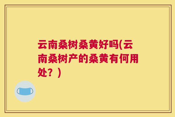 云南桑树桑黄好吗(云南桑树产的桑黄有何用处?) 云南桑树桑黄好吗(云南桑树产的桑黄有何用处?)