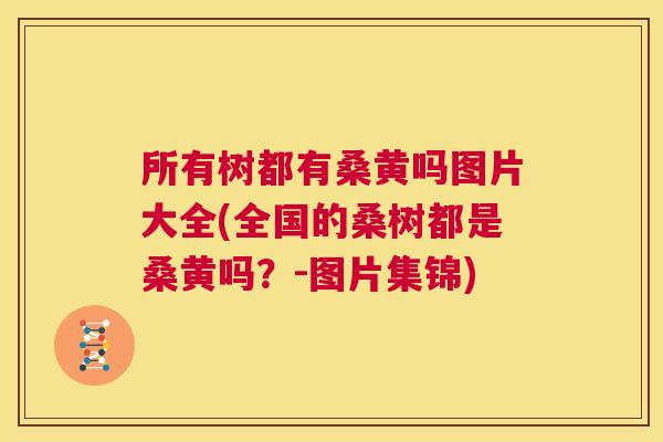所有树都有桑黄吗图片大全(全国的桑树都是桑黄吗?-图片集锦) 所有树都有桑黄吗图片大全(全国的桑树都是桑黄吗?-图片集锦)