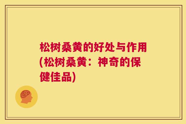 松树桑黄的好处与作用(松树桑黄:神奇的保健佳品) 松树桑黄的好处与作用(松树桑黄:神奇的保健佳品)