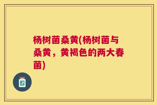 杨树菌桑黄(杨树菌与桑黄,黄褐色的两大春菌) 杨树菌桑黄(杨树菌与桑黄,黄褐色的两大春菌)
