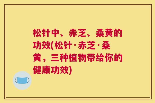 松针中、赤芝、桑黄的功效(松针·赤芝·桑黄,三种植物带给你的健康功效) 松针中、赤芝、桑黄的功效(松针·赤芝·桑黄,三种植物带给你的健康功效)