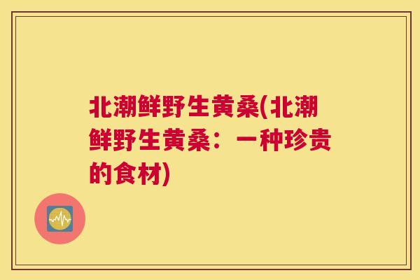 北潮鲜野生黄桑(北潮鲜野生黄桑:一种珍贵的食材) 北潮鲜野生黄桑(北潮鲜野生黄桑:一种珍贵的食材)