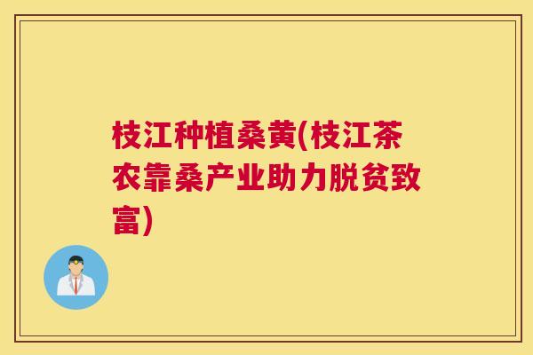枝江种植桑黄(枝江茶农靠桑产业助力脱贫致富) 枝江种植桑黄(枝江茶农靠桑产业助力脱贫致富)