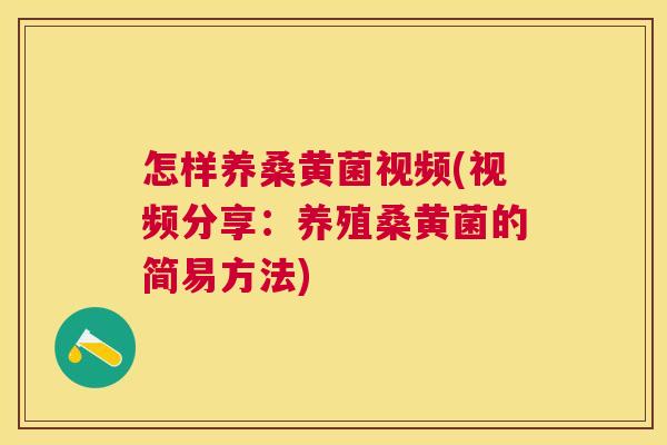 怎样养桑黄菌视频(视频分享:养殖桑黄菌的简易方法) 怎样养桑黄菌视频(视频分享:养殖桑黄菌的简易方法)