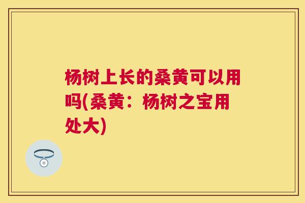 杨树上长的桑黄可以用吗(桑黄:杨树之宝用处大) 杨树上长的桑黄可以用吗(桑黄:杨树之宝用处大)