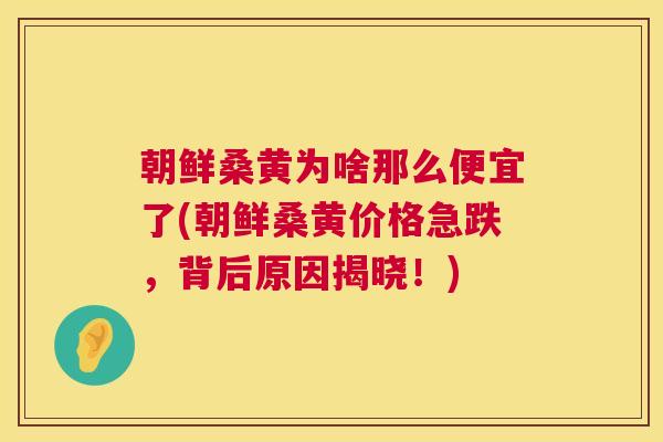 朝鲜桑黄为啥那么便宜了(朝鲜桑黄价格急跌,背后原因揭晓!) 朝鲜桑黄为啥那么便宜了(朝鲜桑黄价格急跌,背后原因揭晓!)