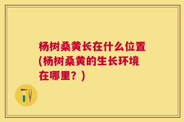 杨树桑黄长在什么位置(杨树桑黄的生长环境在哪里?) 杨树桑黄长在什么位置(杨树桑黄的生长环境在哪里?)