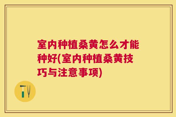 室内种植桑黄怎么才能种好(室内种植桑黄技巧与注意事项) 室内种植桑黄怎么才能种好(室内种植桑黄技巧与注意事项)