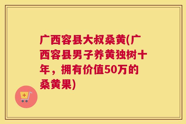 广西容县大叔桑黄(广西容县男子养黄独树十年,拥有价值50万的桑黄果) 广西容县大叔桑黄(广西容县男子养黄独树十年,拥有价值50万的桑黄果)