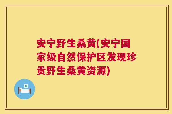 安宁野生桑黄(安宁国家级自然保护区发现珍贵野生桑黄资源) 安宁野生桑黄(安宁国家级自然保护区发现珍贵野生桑黄资源)