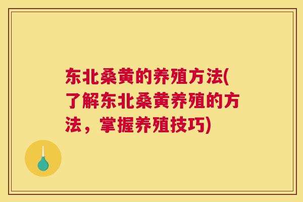 东北桑黄的养殖方法(了解东北桑黄养殖的方法,掌握养殖技巧) 东北桑黄的养殖方法(了解东北桑黄养殖的方法,掌握养殖技巧)