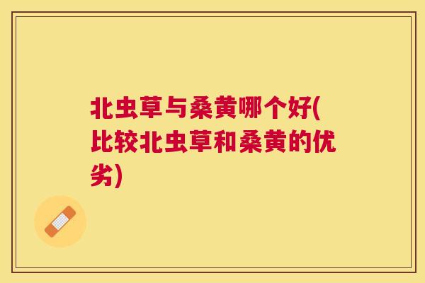 北虫草与桑黄哪个好(比较北虫草和桑黄的优劣) 北虫草与桑黄哪个好(比较北虫草和桑黄的优劣)