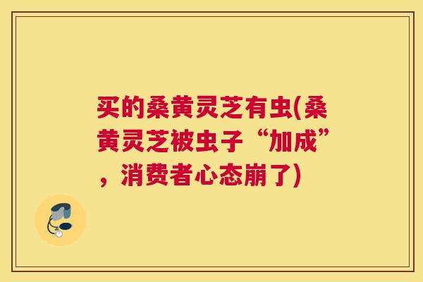 买的桑黄灵芝有虫(桑黄灵芝被虫子“加成”,消费者心态崩了) 买的桑黄灵芝有虫(桑黄灵芝被虫子“加成”,消费者心态崩了)