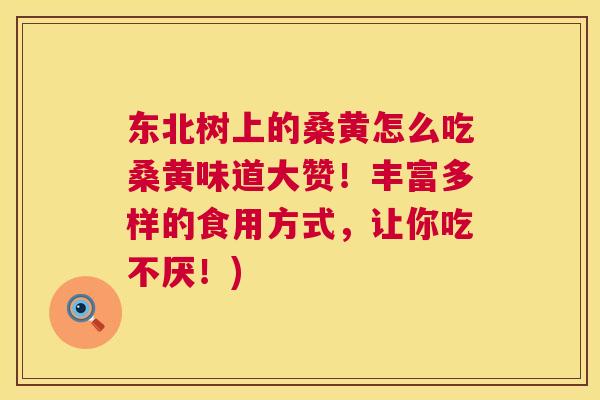 东北树上的桑黄怎么吃桑黄味道大赞!丰富多样的食用方式,让你吃不厌!) 东北树上的桑黄怎么吃桑黄味道大赞!丰富多样的食用方式,让你吃不厌!)