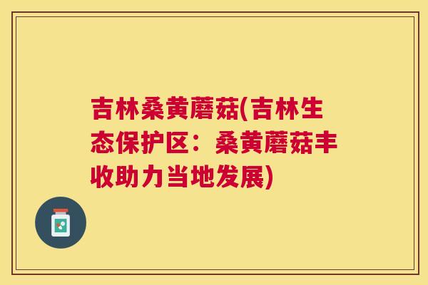 吉林桑黄蘑菇(吉林生态保护区：桑黄蘑菇丰收助力当地发展)