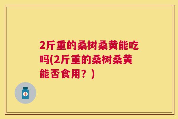 2斤重的桑树桑黄能吃吗(2斤重的桑树桑黄能否食用?) 2斤重的桑树桑黄能吃吗(2斤重的桑树桑黄能否食用?)