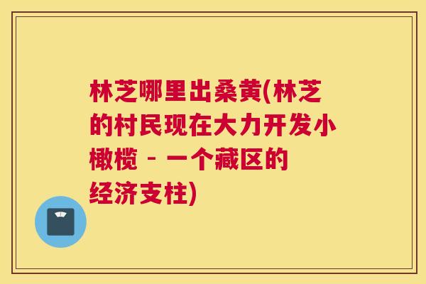 林芝哪里出桑黄(林芝的村民现在大力开发小橄榄 - 一个藏区的经济支柱) 林芝哪里出桑黄(林芝的村民现在大力开发小橄榄 - 一个藏区的经济支柱)