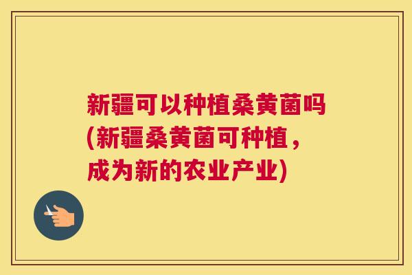 新疆可以种植桑黄菌吗(新疆桑黄菌可种植,成为新的农业产业) 新疆可以种植桑黄菌吗(新疆桑黄菌可种植,成为新的农业产业)