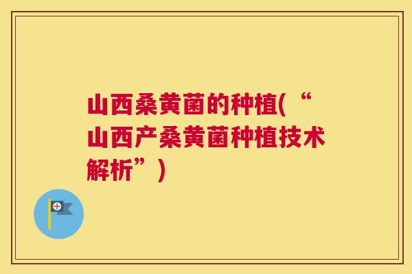 山西桑黄菌的种植(“山西产桑黄菌种植技术解析”) 山西桑黄菌的种植(“山西产桑黄菌种植技术解析”)
