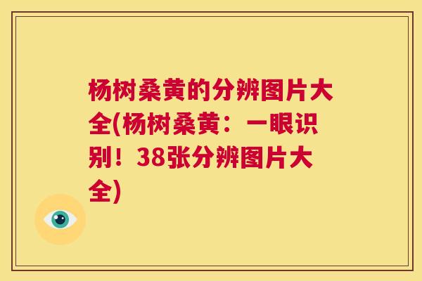 杨树桑黄的分辨图片大全(杨树桑黄：一眼识别！38张分辨图片大全)